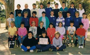 Photograph - JOHN WILLIAMS COLLECTION: QUARRY HILL PRIMARY SCHOOL, 1987