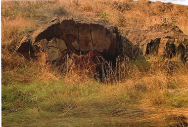 Photograph - ANTICLINE FOLD ROCK FORMATION - BENDIGO CREEK