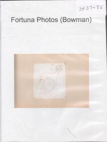 Photograph - FORTUNA PHOTOS (BOWMAN)