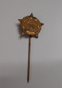Memorabilia - TIE PIN