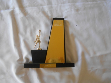 Award - BENDIGO NORTH PRIMARY SCHOOL COLLECTION: GOLDEN CITY NETBALL ASSOCIATION TROPHY 1979 – 1983