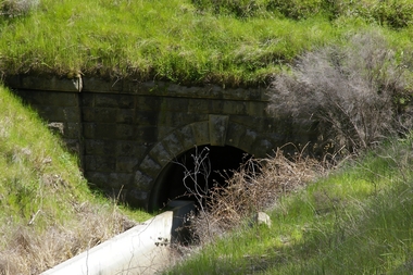 Photograph - Historical Society Field Trip to the Springs at Sedgwick, Abt 2009