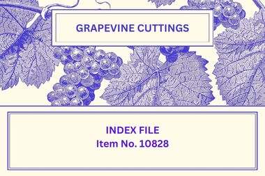 Newsletter - The Grapevine Cuttings by Rob Upson, 1998 to 2000