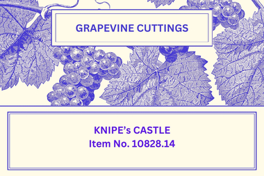 Newsletter - The Grapevine Cuttings by Rob Upson - ' Knipe’s Castle', Oct 1999