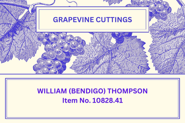 Newsletter - The Grapevine Cuttings by Rob Upson - 'William (Bendigo) Thompson', Nov 2002