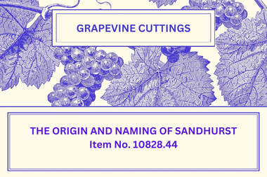 Newsletter - The Grapevine Cuttings by Rob Upson - 'The Origin and Naming of Sandhurst', Dec 2002