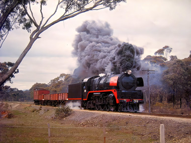 Photograph - David Bernoth Rail Photographs - Steam Locomotives, March 2012