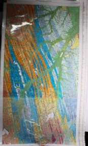 Map - Geological survey of Bendigo Goldfields