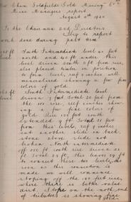 Administrative record - New Chum Goldfields Company Mine Manager's Report Book, 1919 - 1920