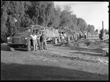 Photograph - Colourised Black and White Digital Images of Bendigo and Surrounds, 2021-24