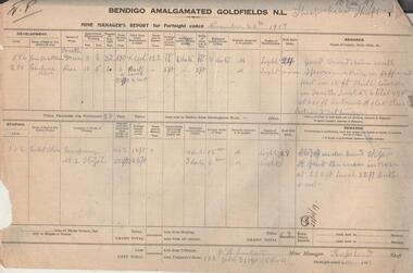 Administrative record - Bendigo Amalgamated Goldfields N.L. Mine Manager's Reports, 1917 - 1920