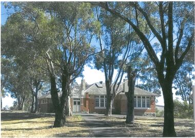 Photograph - Gemma Starr collection - Bendigo East Primary School - four photographs of treed school grounds