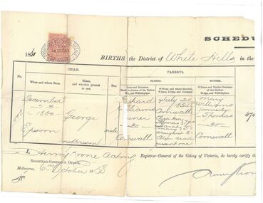 Certificate - 1860 birth certificate of George Williams