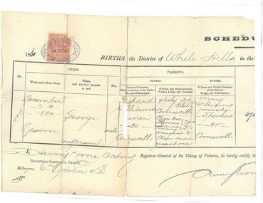 Certificate - Tui Mitchell Collection: 1860 birth certificate of George Williams