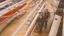 Colour photo of current Bendigo Rowing Club President Lynda Davis and Jesse Sherwood in the club rooms