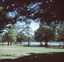 Lake Weroona Bendigo