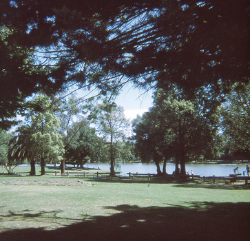 Lake Weroona Bendigo