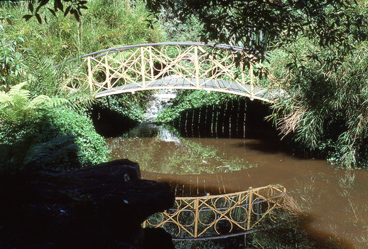 Bendigo Fernery