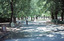 Rosalind Park