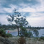 Lake Eppalock