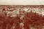 Bendigo from the lookout tower