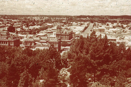 Bendigo from the lookout tower
