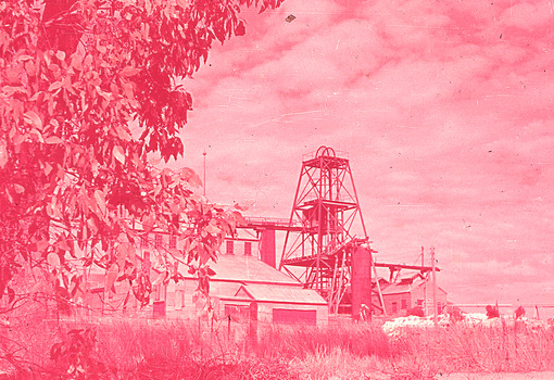 Gold Mine Bendigo