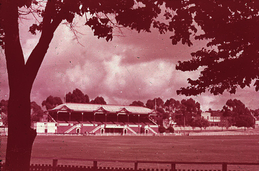 Queen Elizabeth Oval Bendigo