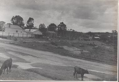 Photograph - Nell Gwynne Proposed Mine Site, 1934