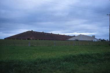 Slide - Mouat Crawford Collection: Farming Life in the Wimmera, 1960s
