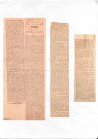 Newspaper - Naming of Bendigo