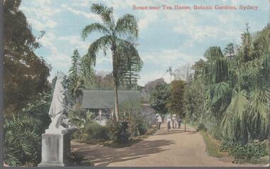 Postcard - Elliot Postcard Collection: Australia, 1895 - 1914