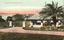 This coloured card shows a garden pavilion beside lawns and palm trees overlooking the harbour; on the card is printed “Botanic Gardens, Sydney, N. S. W.”