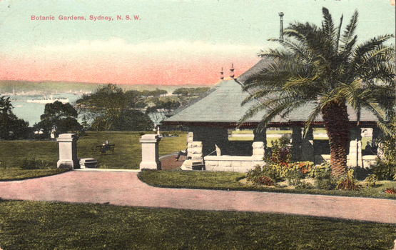 This coloured card shows a garden pavilion beside lawns and palm trees overlooking the harbour; on the card is printed “Botanic Gardens, Sydney, N. S. W.”