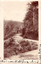 This black-and-white card shows a horse-drawn carriage travelling along a winding road through forest; on the card is printed “Stroud Cutting". The handwriting says “This is near the old home where I was born.”