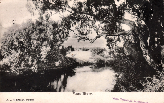 This black-and-white card shows a calm river framed by large trees and dense vegetation; on the card is printed “Yass River.”