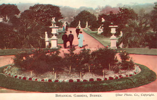 This coloured card shows visitors walking along a formal garden path bordered by flowerbeds, statues and ornamental urns; on the card is printed “BOTANICAL GARDENS, SYDNEY.” and “[Star Photo. Co., Copyright.”