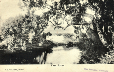 This black-and-white card shows a calm river framed by large trees and dense vegetation; on the card is printed “A. J. SHEARSBY, PHOTO.”, “Yass River.” and “WILL THOMSON, PUBLISHER.”