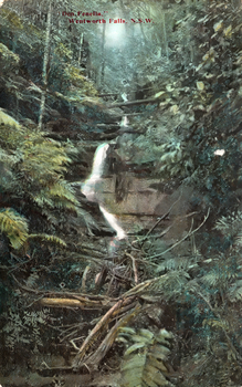 This coloured card shows a small waterfall descending through a densely wooded fern gully; on the card is printed “‘Den Fenella,’ Wentworth Falls, N.S.W.”