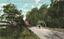 This coloured card shows a horse-drawn vehicle travelling along a tree-lined mountain road; on the card is printed “ROAD SCENE, TOP OF BERRY MOUNTAIN, SHOALHAVEN DISTRICT” and “Copyright.”
