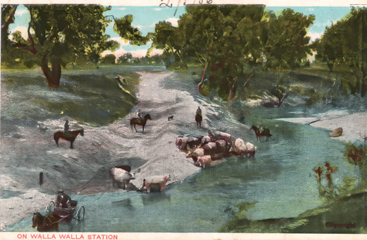 1405.096 This coloured card shows livestock being driven across a shallow stream by mounted riders; on the card is printed “ON WALLA WALLA STATION” and “Copyright”.