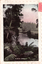 This coloured card shows a calm stream surrounded by dense bushland and tree ferns; on the card is printed “A BUSH STREAM”.