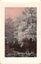 This coloured card shows a person standing on a path through snow-covered trees; there is no visible printed caption.
