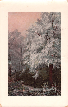 This coloured card shows a person standing on a path through snow-covered trees; there is no visible printed caption.