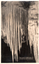 This black-and-white card shows long stalactites inside a cave; on the card is printed “THE CANOPY. ORIENT CAVE. JENOLAN. N. S. W. AUSTRALIA.”