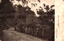This black-and-white card shows a road through dense bush with horse-drawn vehicles; on the card is printed “Bulli Pass, N.S.W.” and “Hold up to the light”.