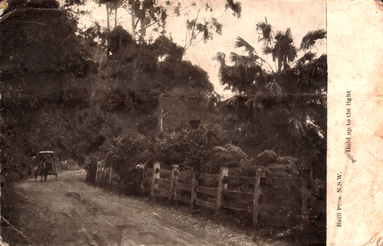This black-and-white card shows a road through dense bush with horse-drawn vehicles; on the card is printed “Bulli Pass, N.S.W.” and “Hold up to the light”.
