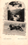 This black-and-white card shows a river landscape above a portrait of a dog: On the card is printed “SNOWY RIVER. ‘I WISH YOU ALL GOOD CHEER.’ Series 28—Combination. Kerry (Copyright) Sydney.”