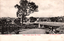 This black-and-white card shows a view of Yass town with a bridge and a large tree in the foreground: On the card is printed “A. J. Shearsby, Photo. Yass Town from the Park. Will. Thomson, Publisher.”