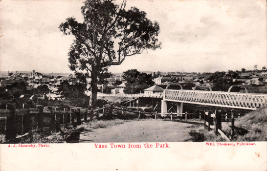 This black-and-white card shows a view of Yass town with a bridge and a large tree in the foreground: On the card is printed “A. J. Shearsby, Photo. Yass Town from the Park. Will. Thomson, Publisher.”